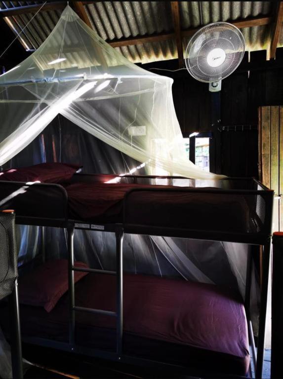 Male Dormitory Room