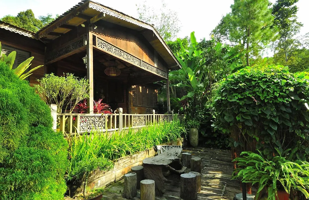 Fig Tree Hills Resort-1