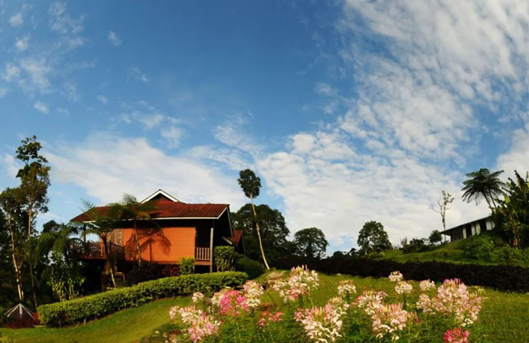 Borneo Highlands Resort-1