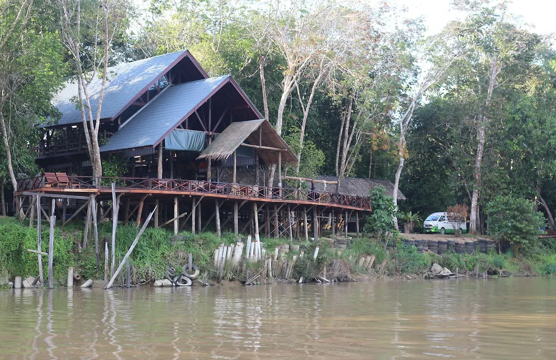 Borneo Natural Sukau Bilit Resort-1