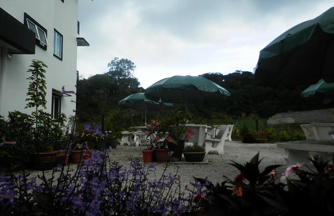 Rovers Inn Guesthouse - Age 11 And Above Only-1
