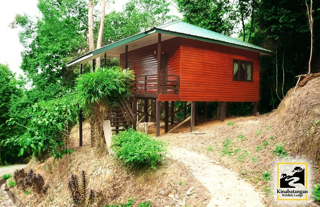 Kinabatangan Wildlife Lodge-1