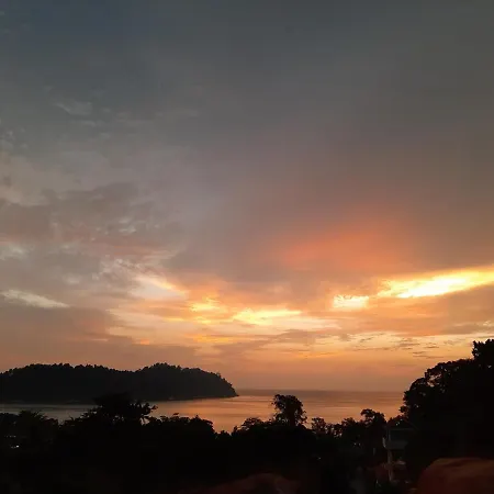 Utan Teluk Nipah-2