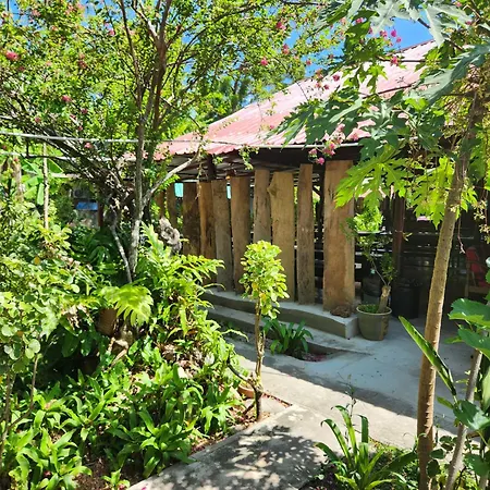 Gecko Guesthouse-2
