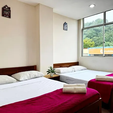 Town Inn Hotel - Rainforest-2