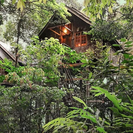 Permai Rainforest Resort-2