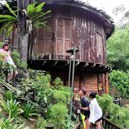 Fig Tree Hills Resort-2