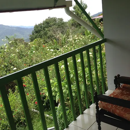 D'Villa Rina Ria Lodge, Kinabalu Park, Kundasang-3