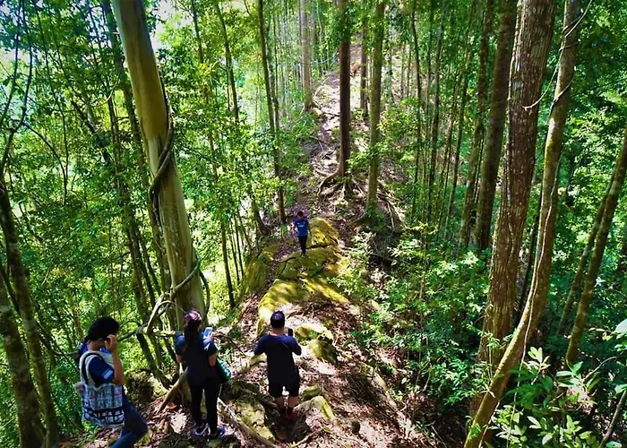 Kinabatangan Wildlife Lodge Sandakan, Malesia
