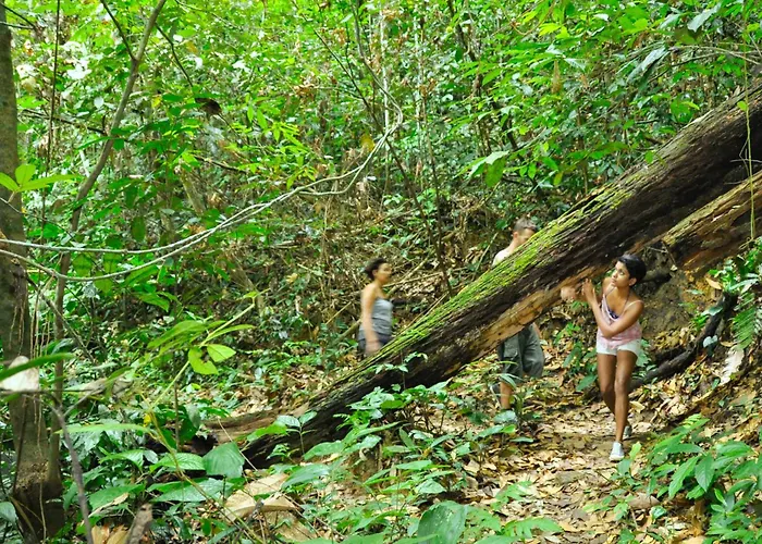 The Dusun
