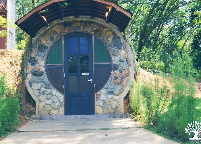 The Acacia Retreat