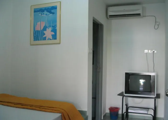 Tit Motel