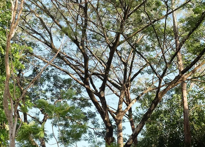 Rumah Jah Langkawi
