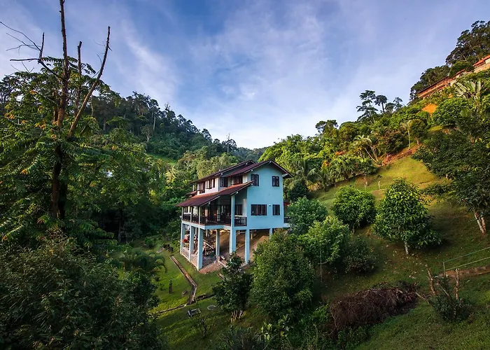 Rest Pause Rainforest Retreat