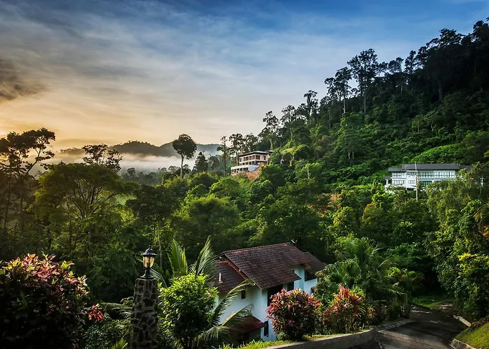 Rest Pause Rainforest Retreat